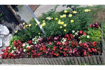 Hungary Privát Eger, Exterior